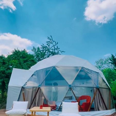 Phalesia Glamping Otel Sapanca Dış mekan fotoğraf