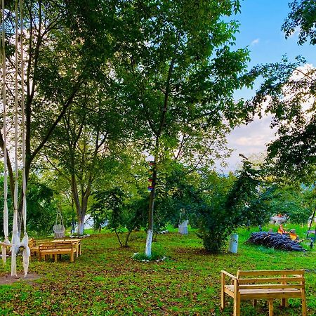 Phalesia Glamping Otel Sapanca Dış mekan fotoğraf