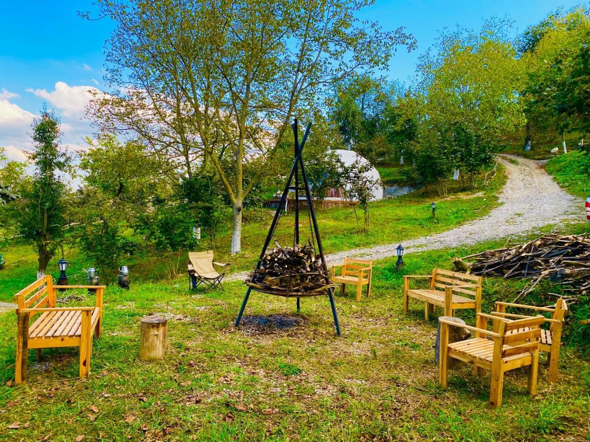 Phalesia Glamping Otel Sapanca Dış mekan fotoğraf