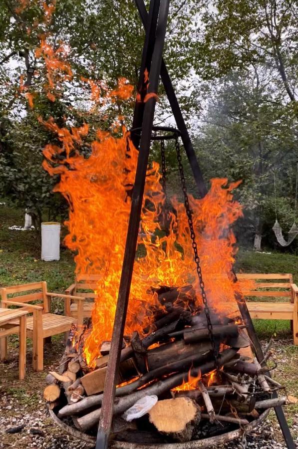 Phalesia Glamping Otel Sapanca Dış mekan fotoğraf