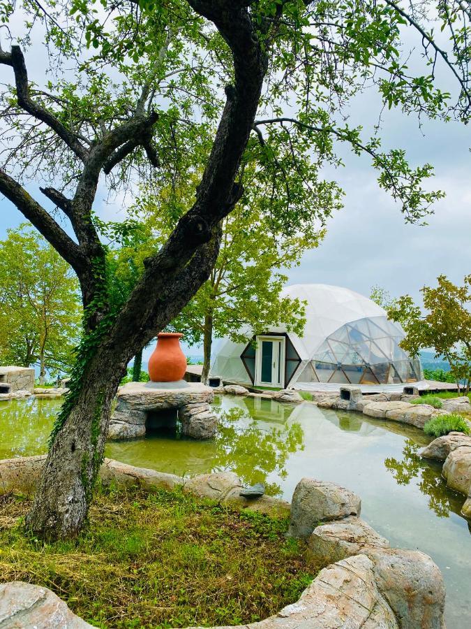 Phalesia Glamping Otel Sapanca Dış mekan fotoğraf