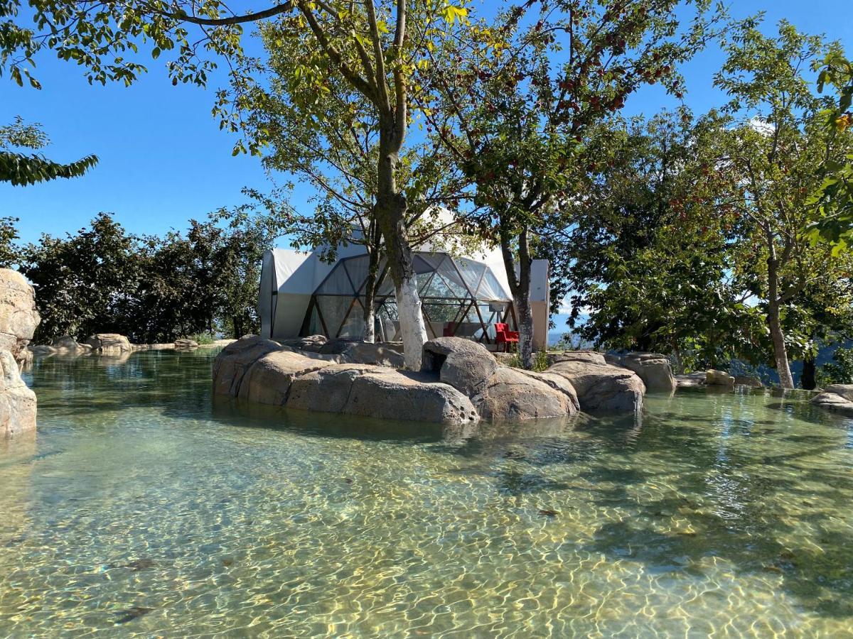 Phalesia Glamping Otel Sapanca Dış mekan fotoğraf