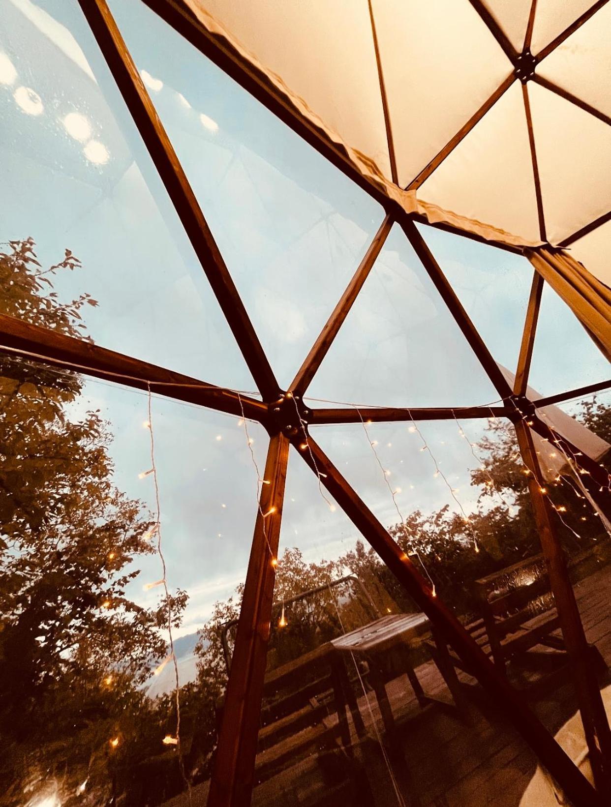 Phalesia Glamping Otel Sapanca Dış mekan fotoğraf