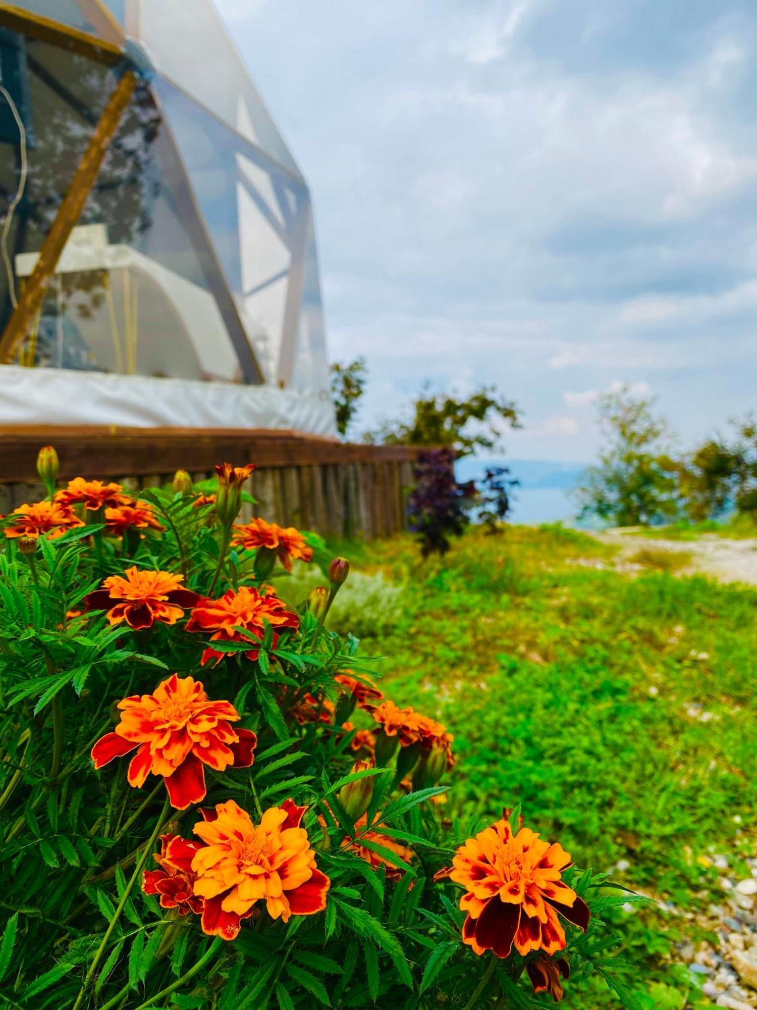 Phalesia Glamping Otel Sapanca Dış mekan fotoğraf