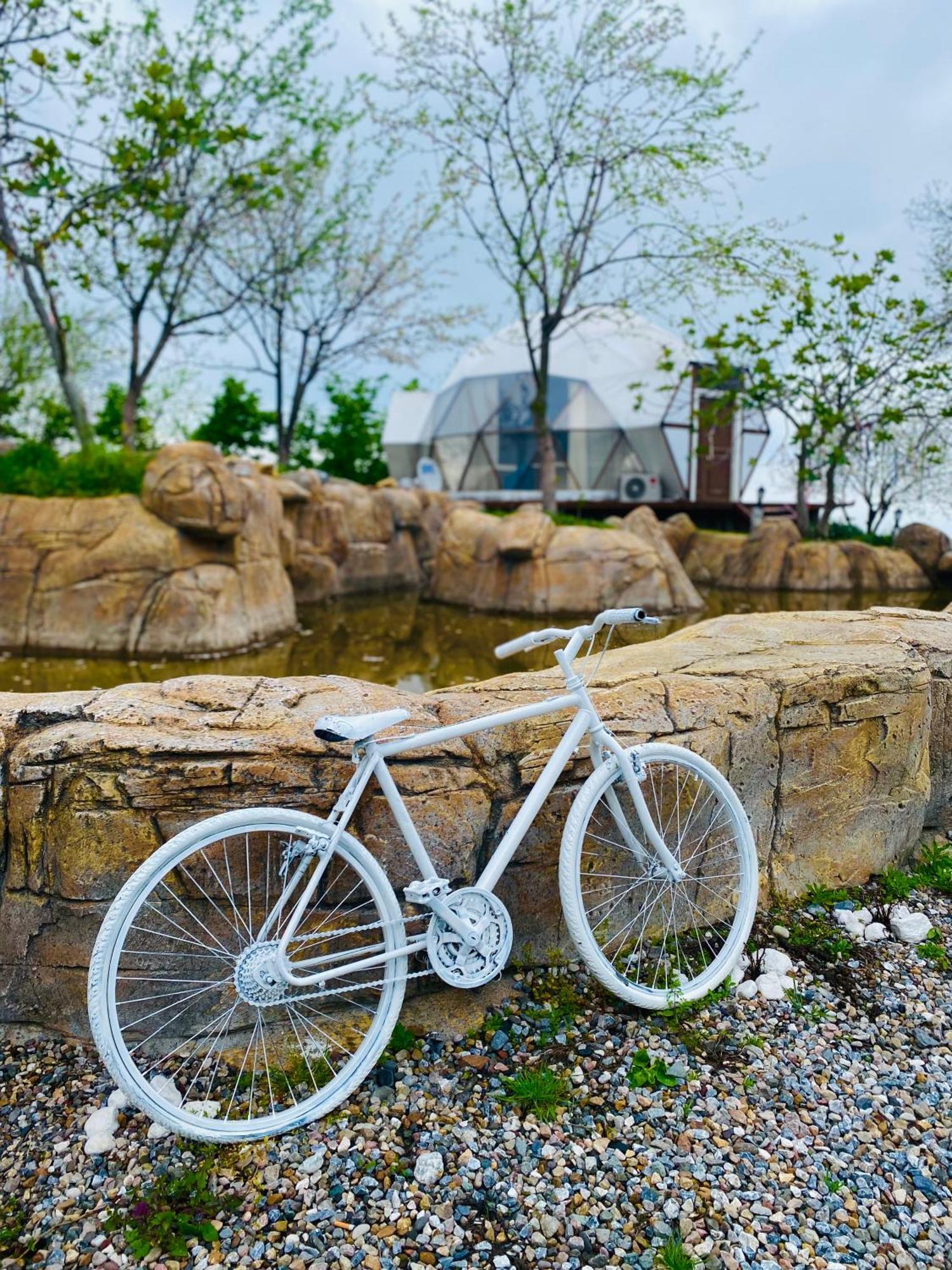 Phalesia Glamping Otel Sapanca Dış mekan fotoğraf