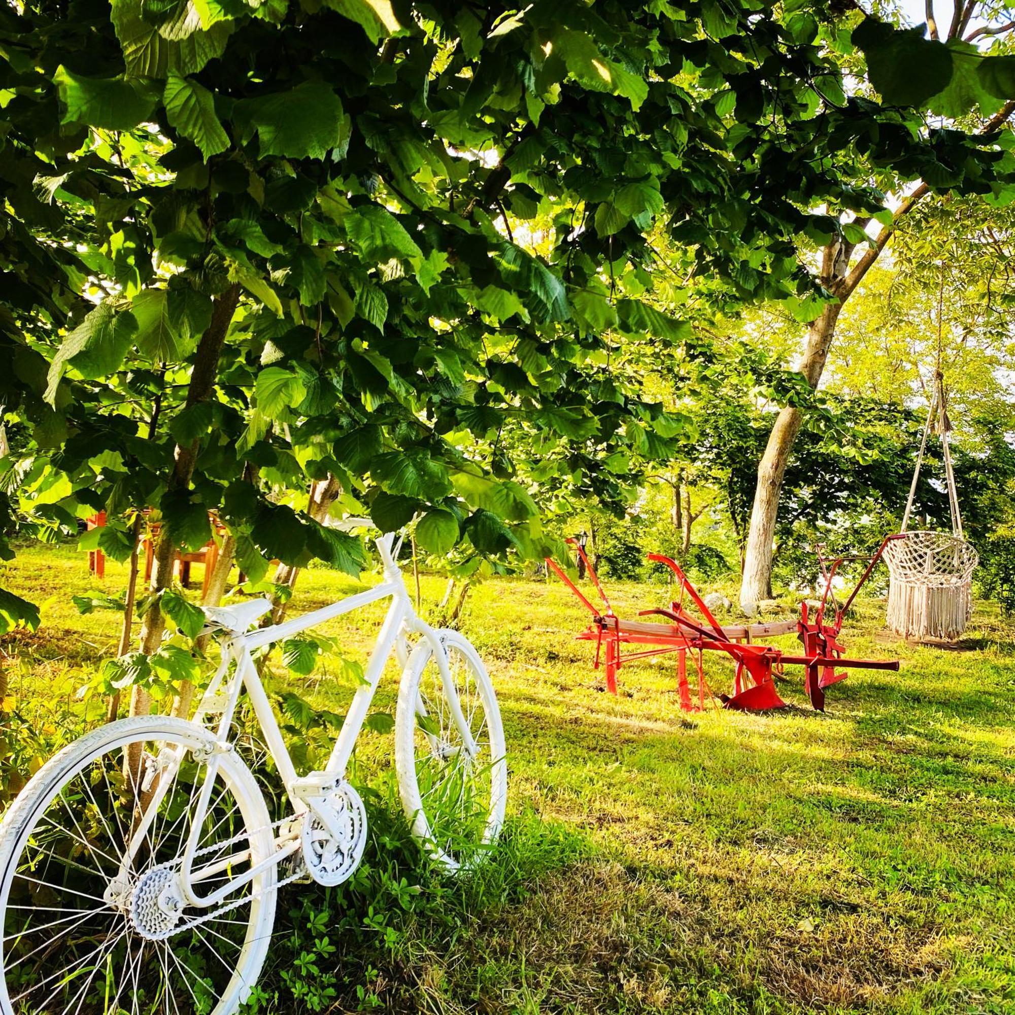 Phalesia Glamping Otel Sapanca Dış mekan fotoğraf